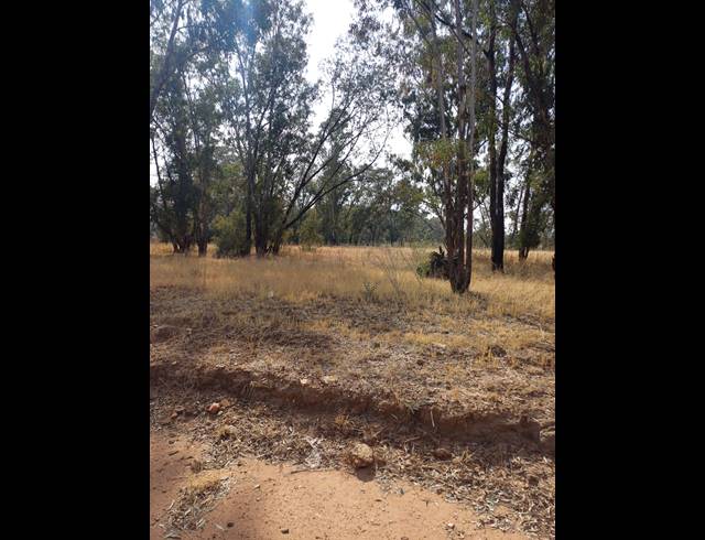 16HA VACANT LAND FOR SALE IN WALKER FRUIT FARMS